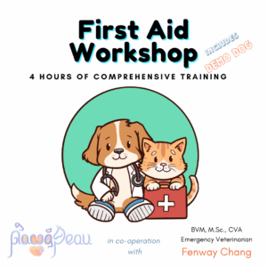 First Aid Workshop for Dogs and Cats